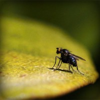 /album/quinnalradi/photolia-a07-jpg/