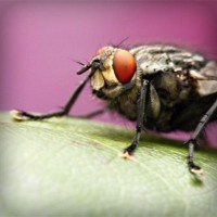 /album/quinnalradi/photolia-a08-jpg/